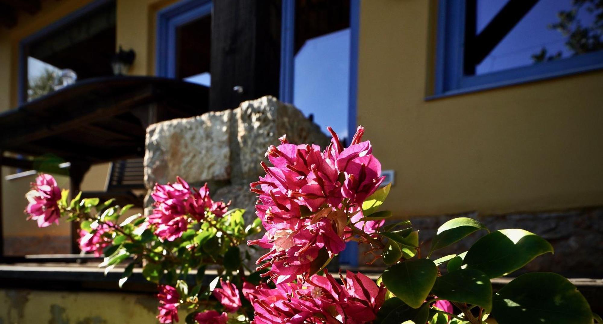 Limni Holiday home *